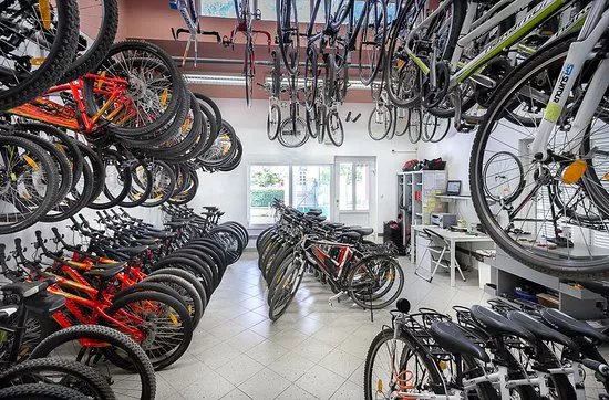 Rental Center Medulin