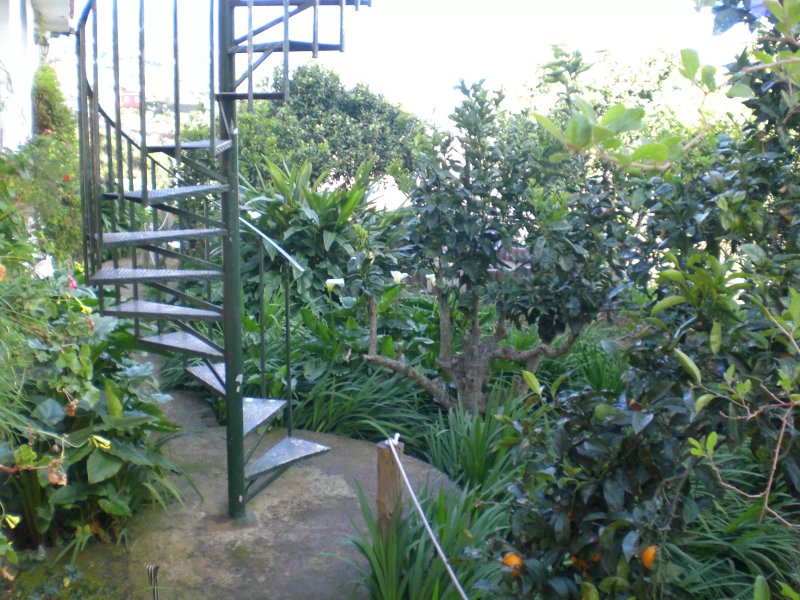 Raices Finca