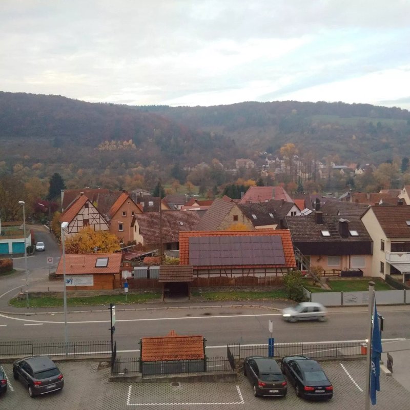 Edelfinger Hof