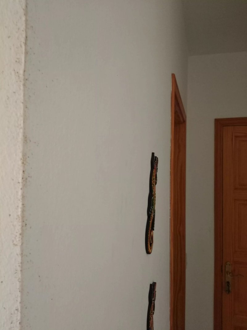 Apartamentos los Llanos de Aridane