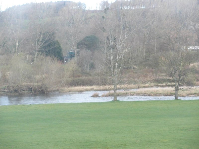 The Harp Inn