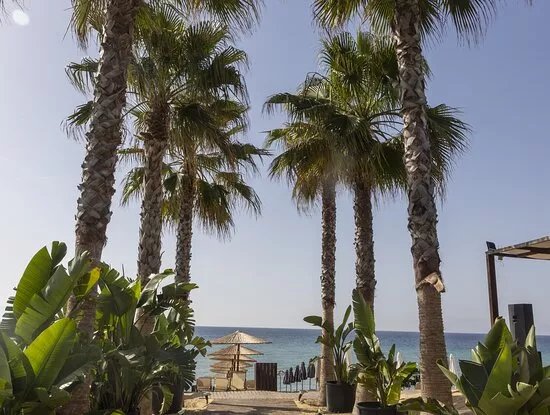 Breeze Beach Bar