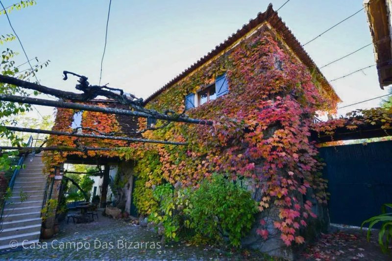Casa Campo das Bizarras