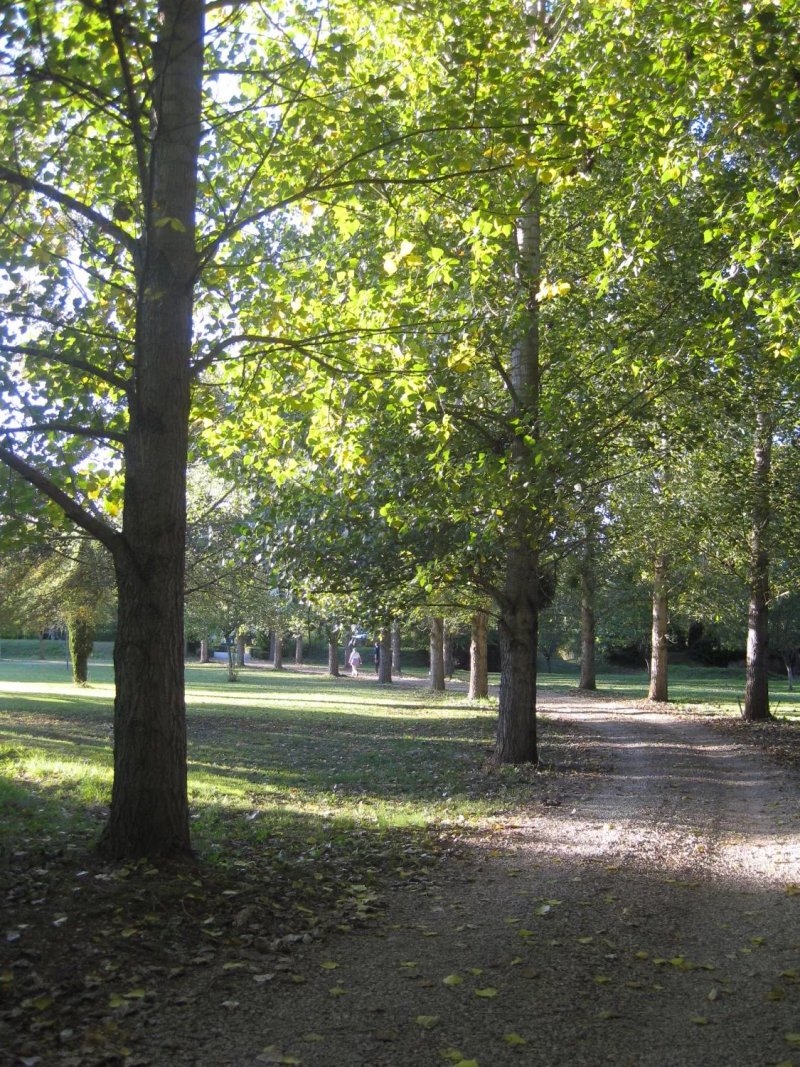 Domaine De La Borie Grande