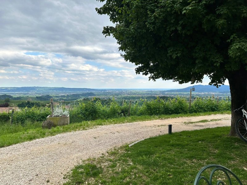 Agriturismo Casaborgomarche