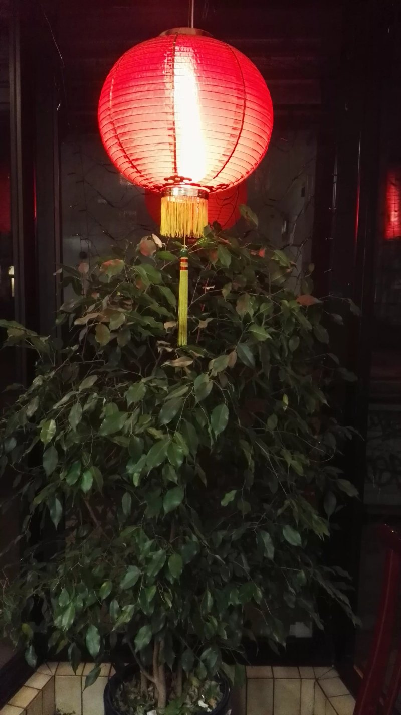 Tasty House