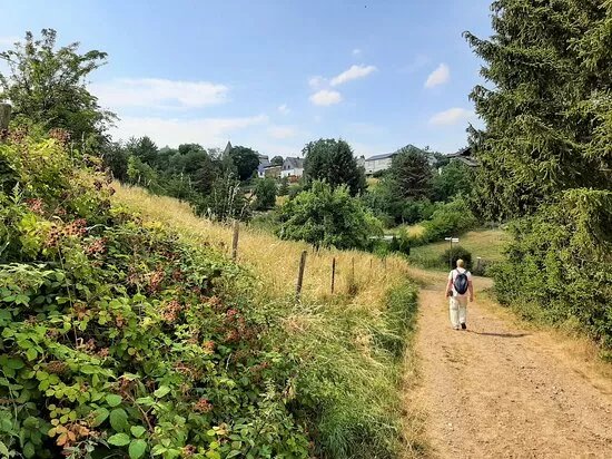 Panorama Wanderweg