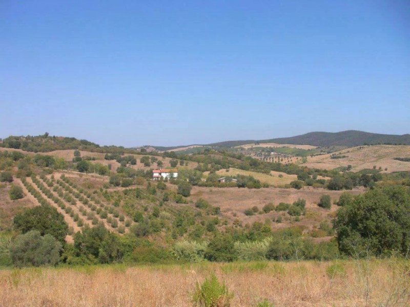 La Fontaccia Farm Stay
