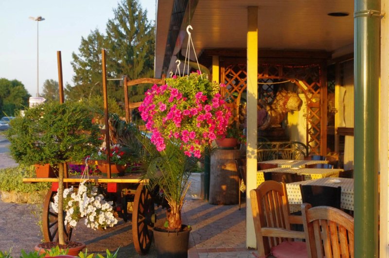 Ristorante Ragno d'Oro