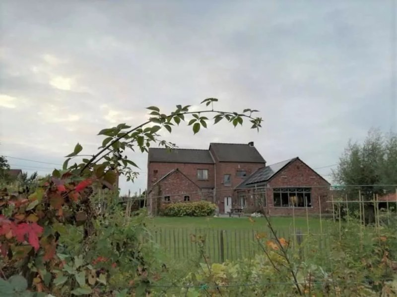 B&b Widdingenhof