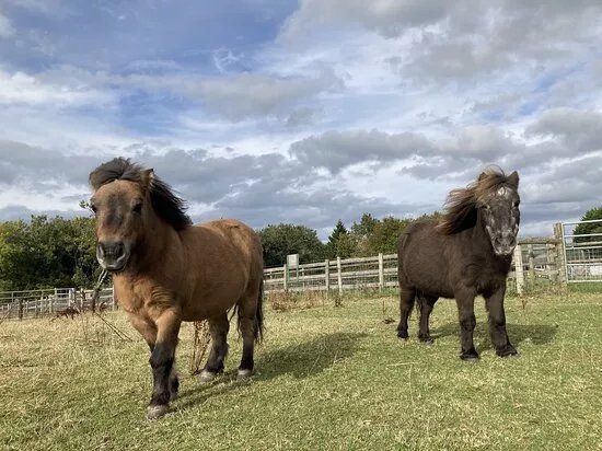 Amelia Trust Farm