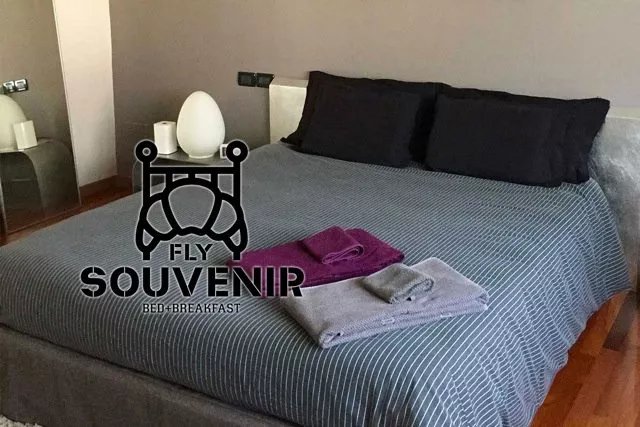 FlySouvenir B&B