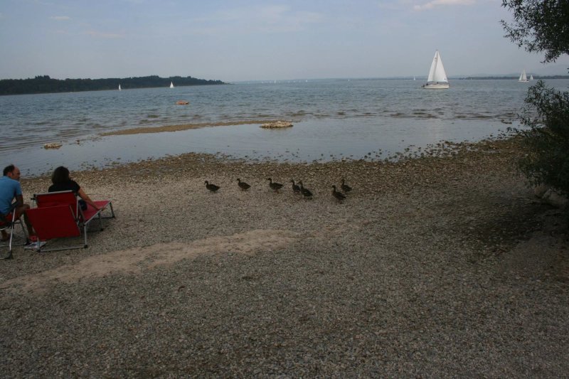 Sandbank