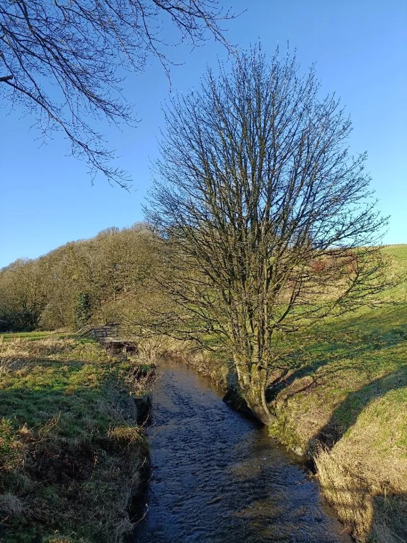 Castle Irvine, Necarne