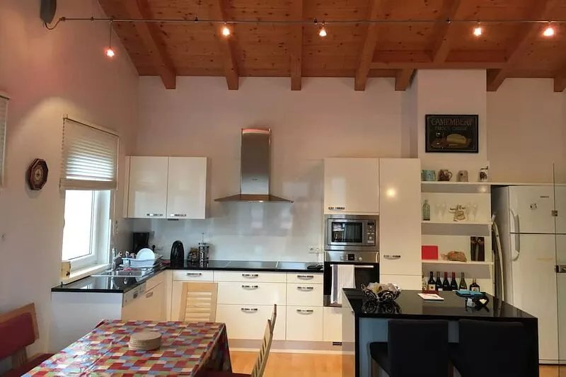 Luxury Ski In -Ski Out Apartment