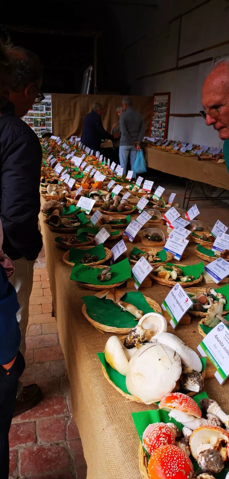 Fiera Dell'Aglio