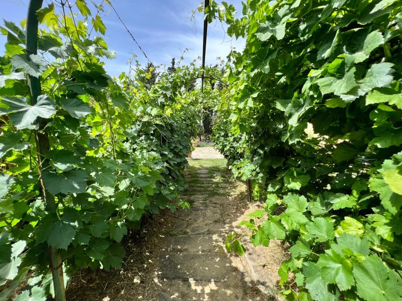 Farm House Fattoria Cantagallo