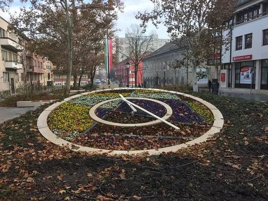 Viragora Flowerclock