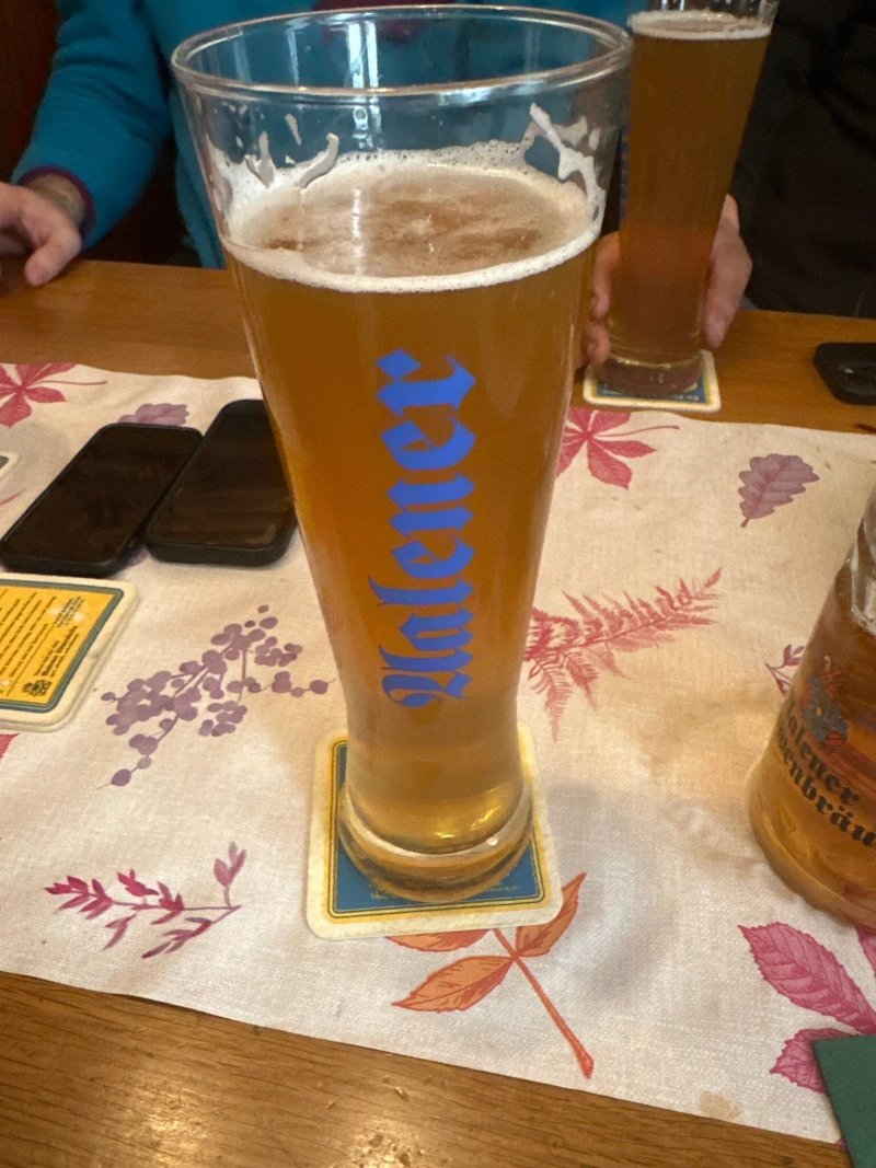Gasthaus Alter Lowen