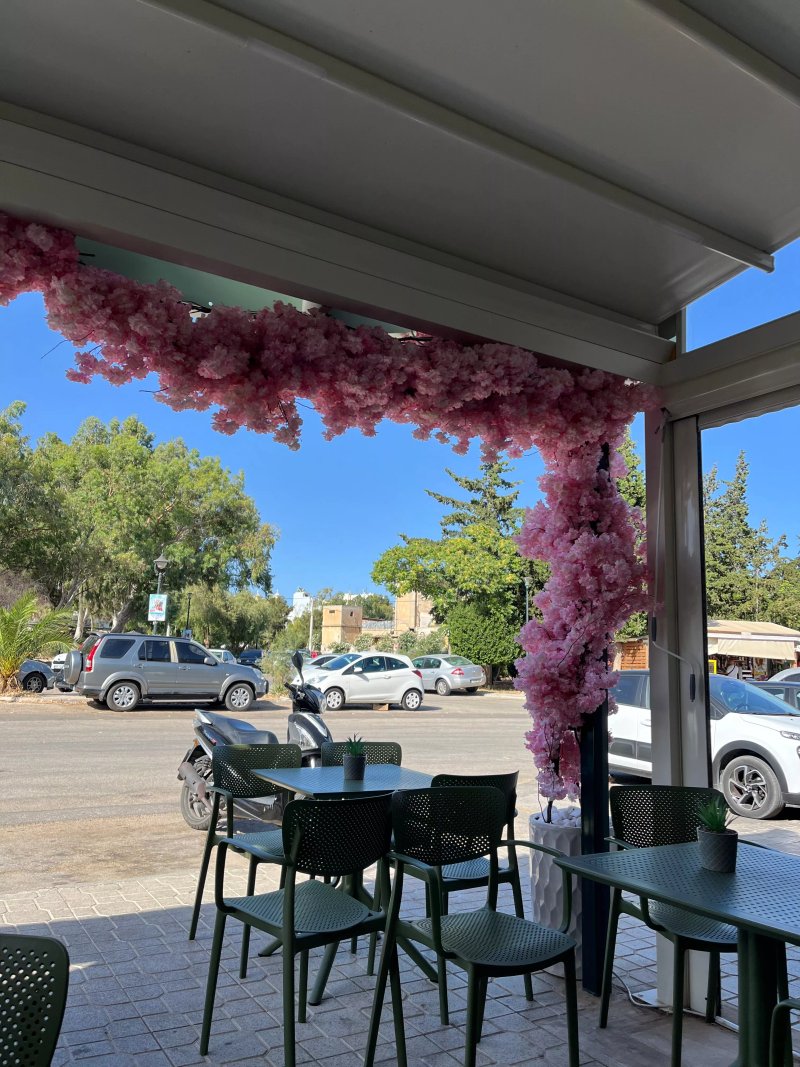 Alexandros Patisserie Gelato