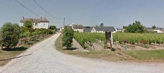 Domaine Olivier