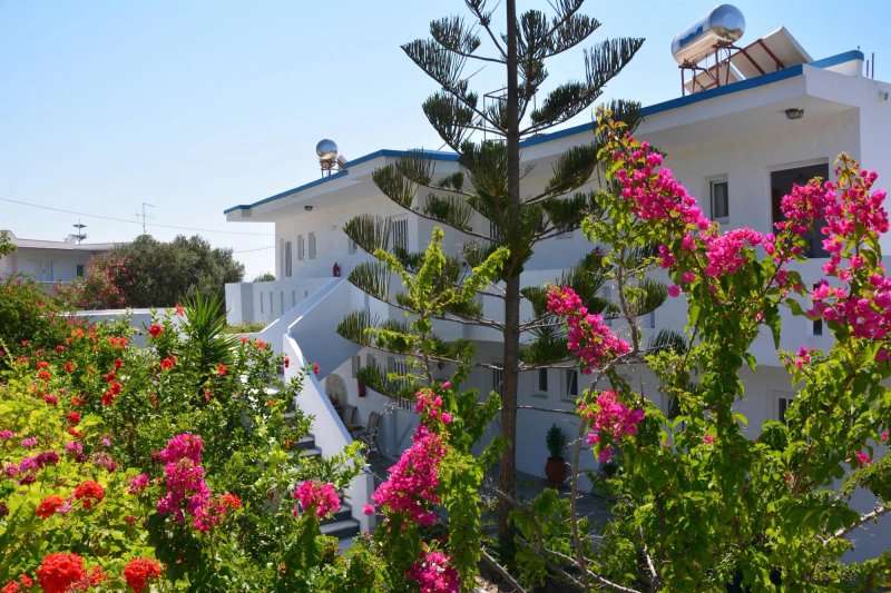 Creta Vassakis Studios