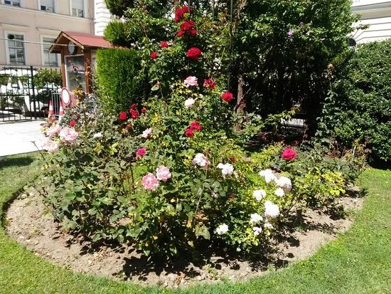 Sofia University Botanic Garden