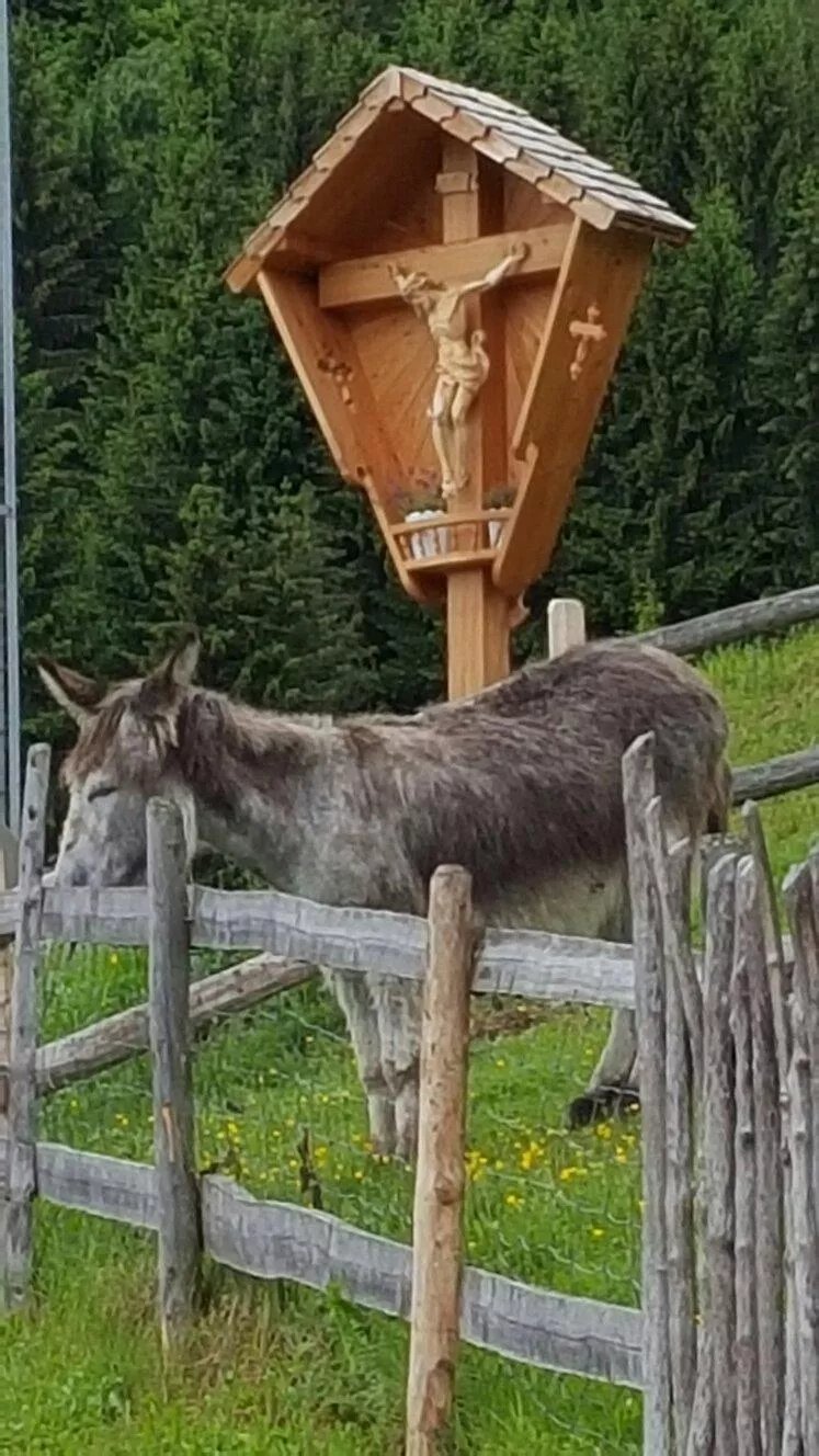 Berggasthof Huggenberg
