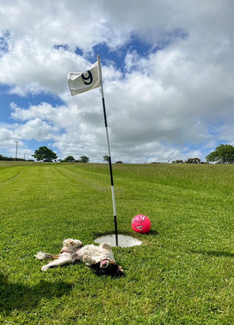 Trenewydd Farm Footgolf