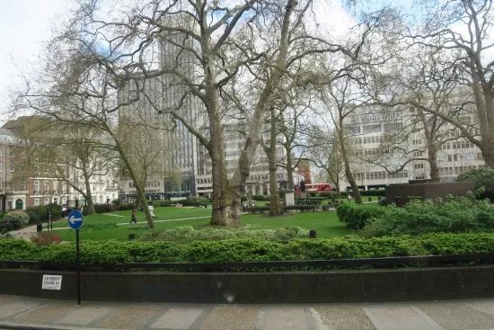 Cavendish Square Gardens