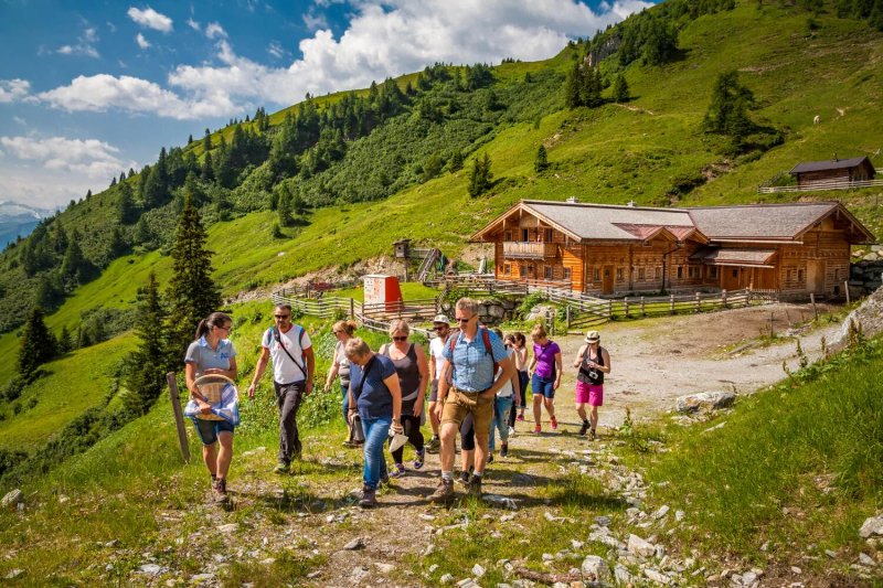 Au-alm