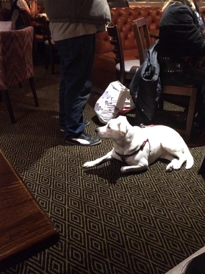 The Pig and Whistle