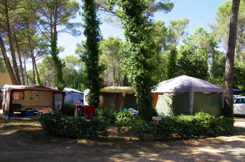Camping Buffalo Hacienda