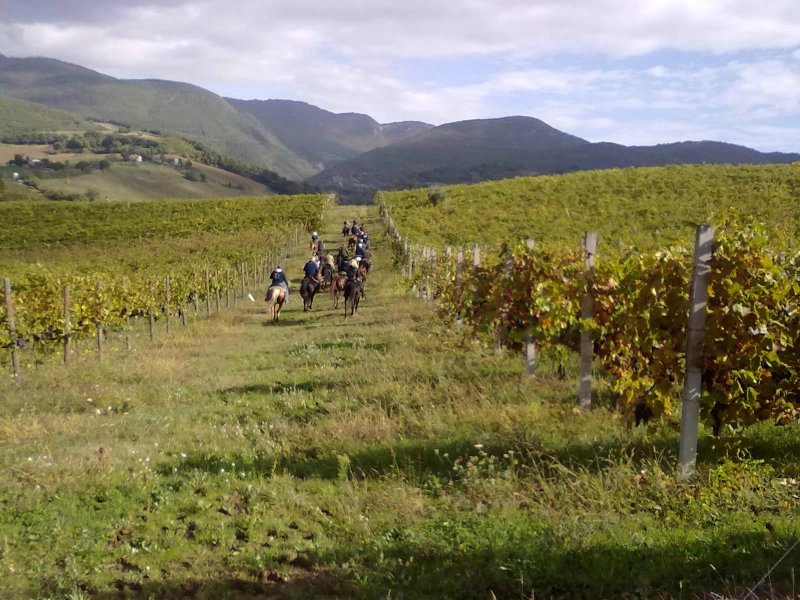 Agriturismo Cavaliere Errante