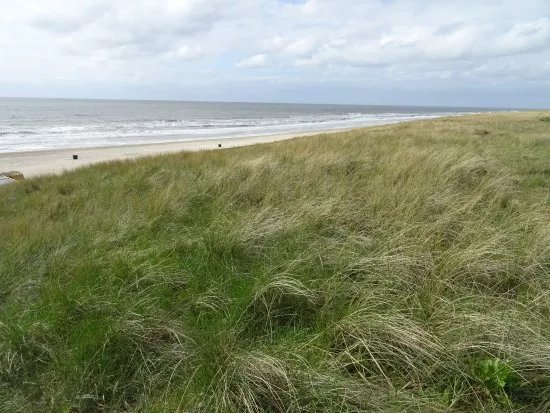 Strand Egmond aan Zee