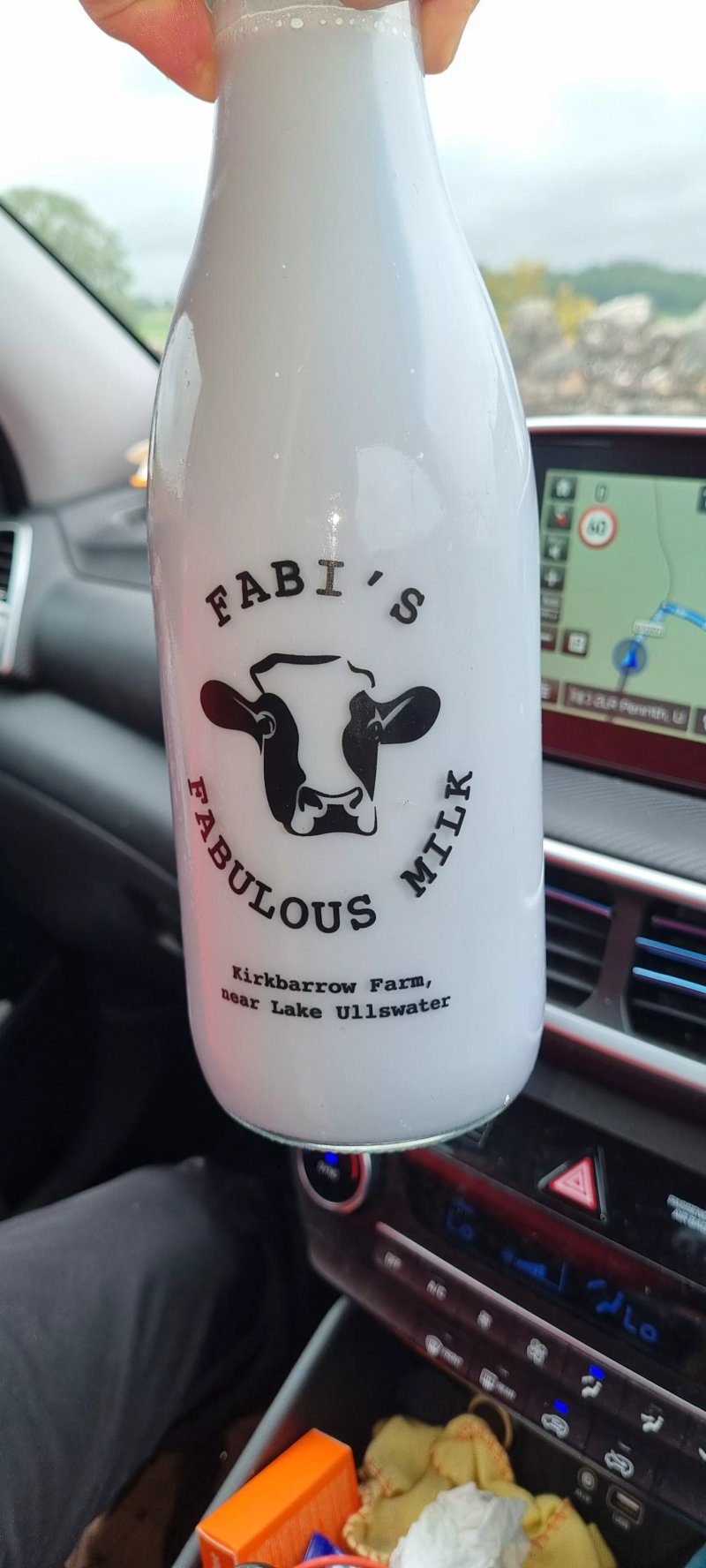 Fabi's Fabulous Milk