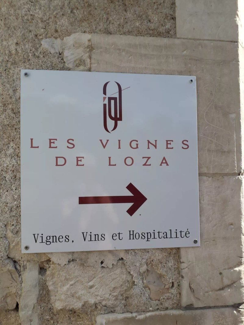 les vignes de Loza