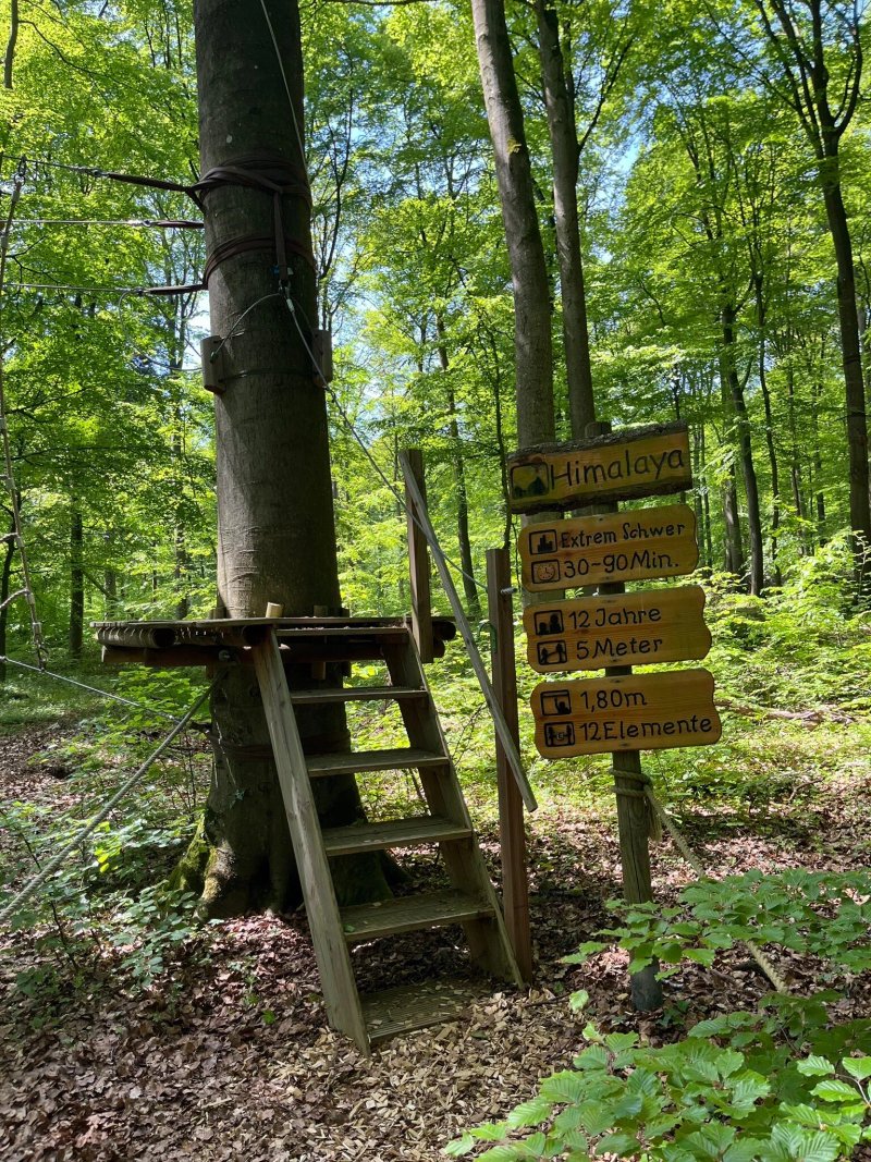 Kletterwald Vulkanpark