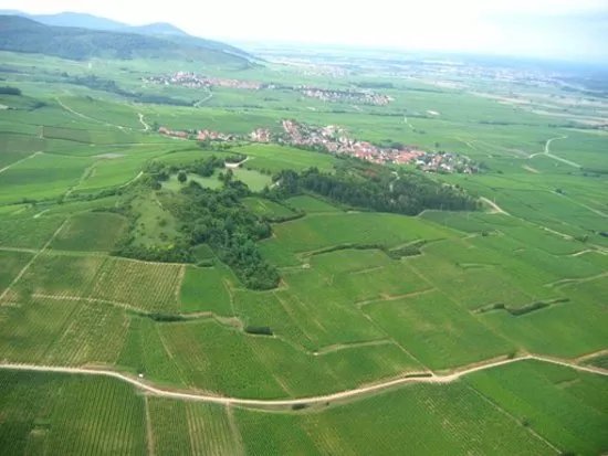 Le Grasberg