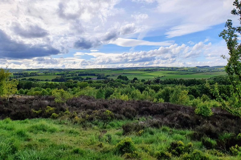 Waldridge Fell