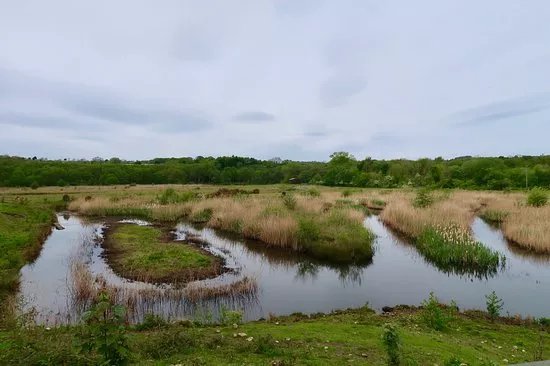 Low Barns Nature Reserve & Visitor Centre