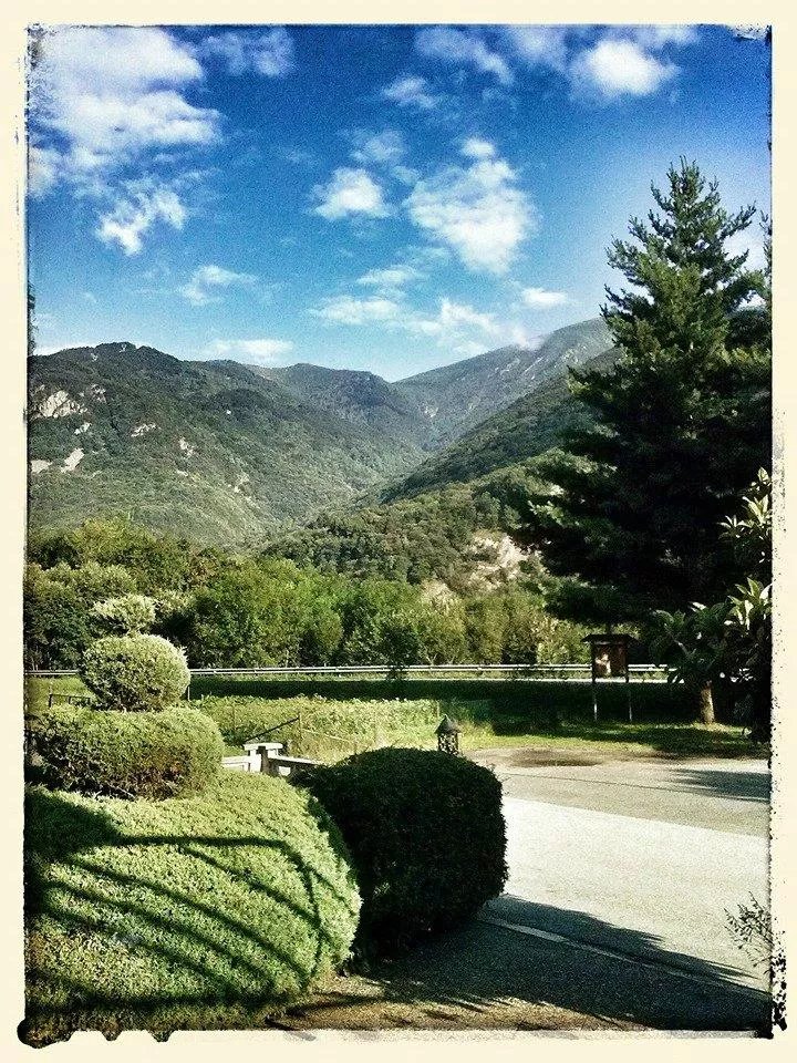 La Falesia del Bosco