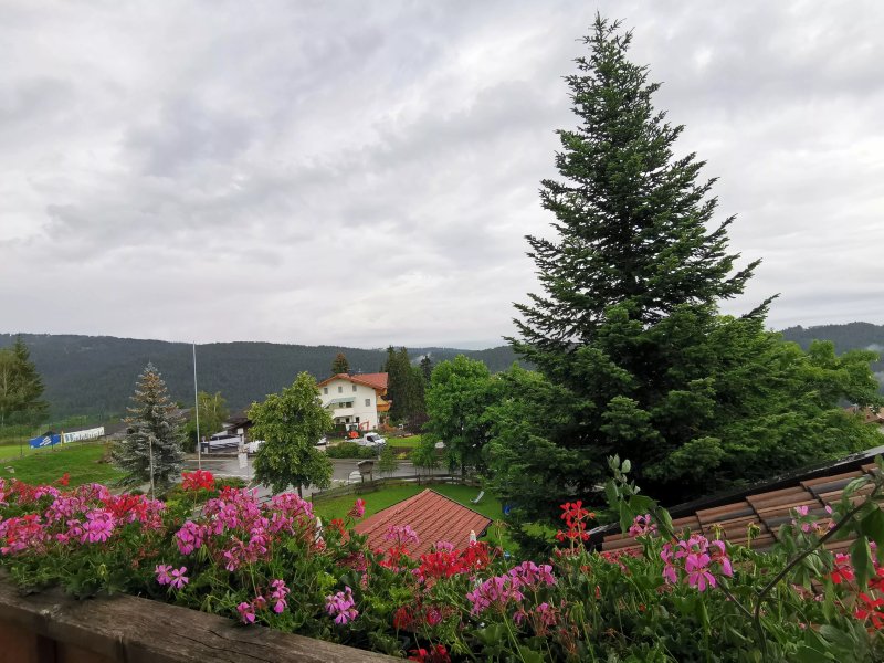 Gasthof zum Grunen Baum
