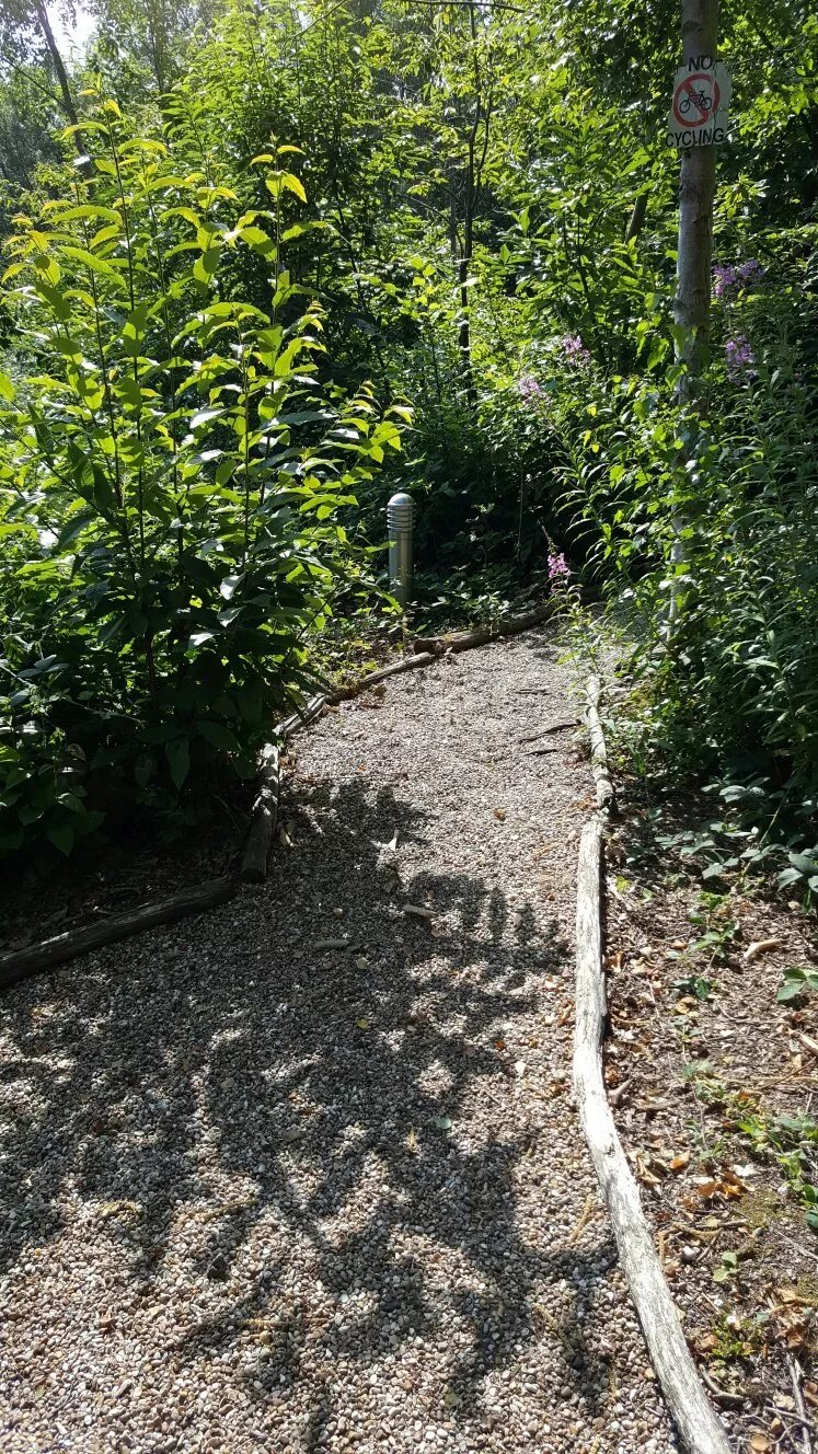 Senlac Wood Camping and Caravan Site