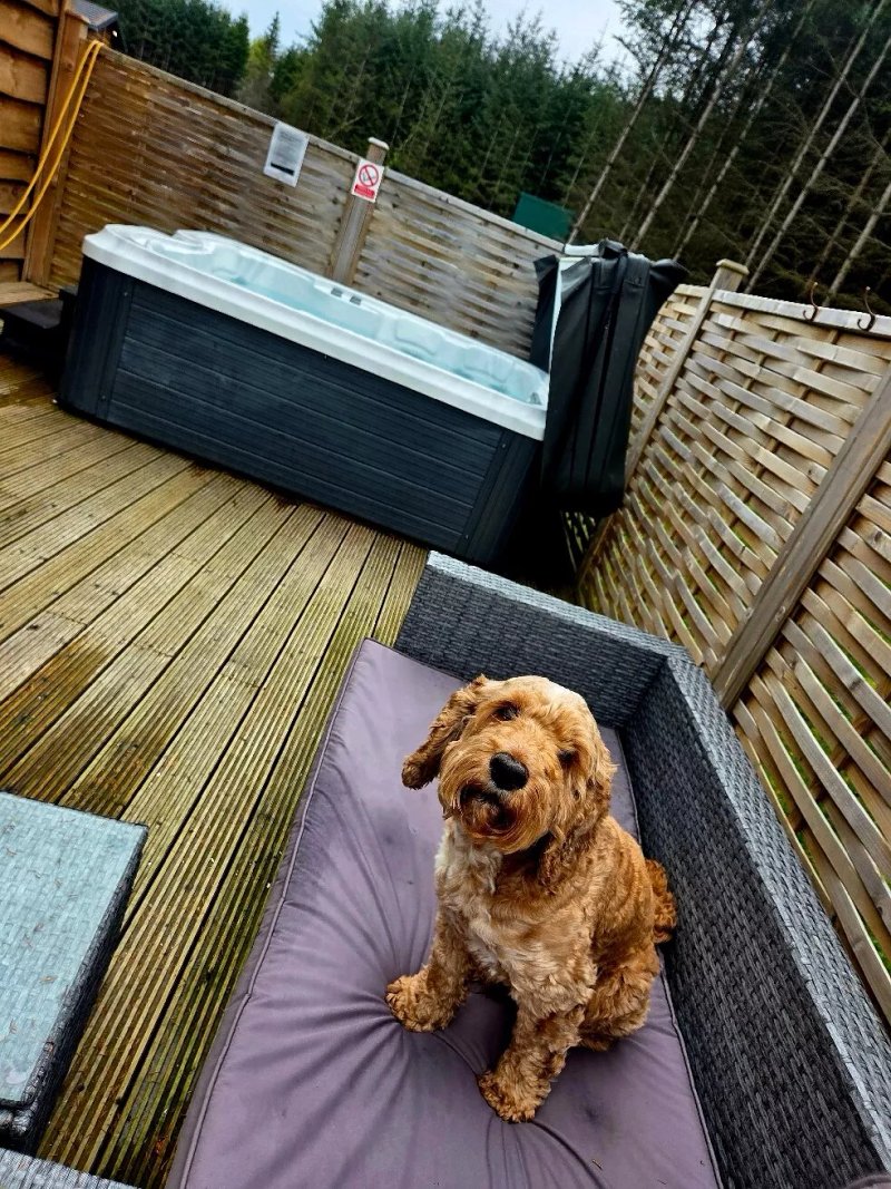 Thirlestane Woodland Lodges