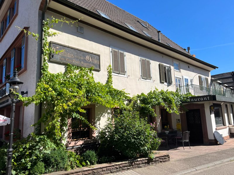 Goldener Ochsen