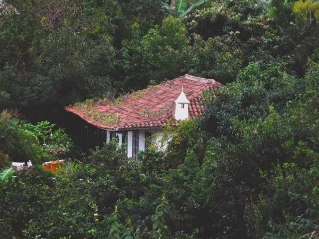 Finca el Quinto