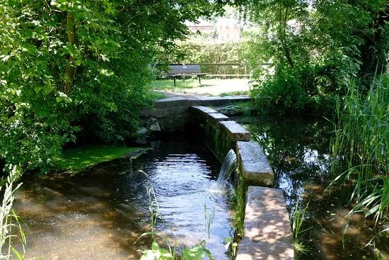 Batford Springs Nature Reserve