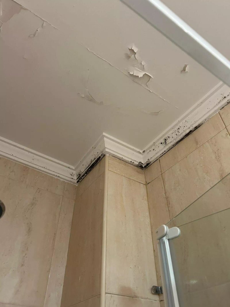 Apartamentos Elvira 36