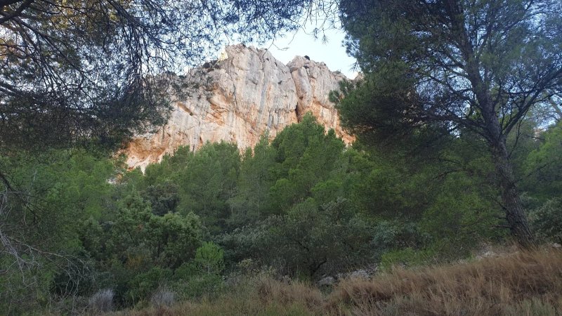 Cresta De La Forada